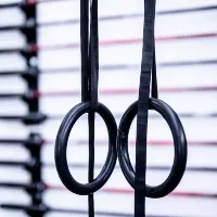 Troy City Fitness equipment - gymnastic rings